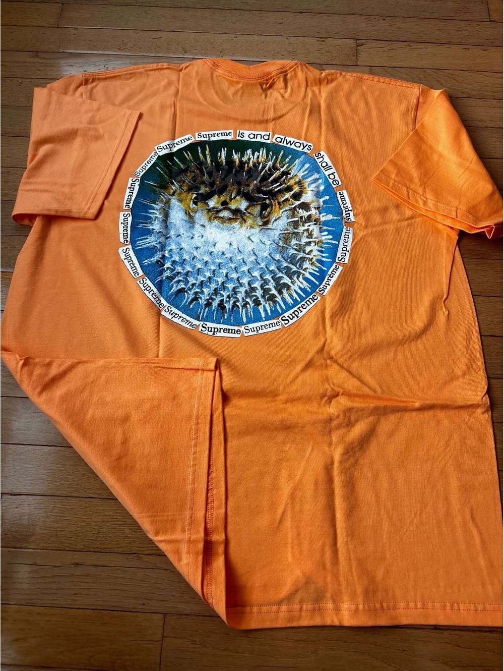 Supreme SS23 Blowfish Tee Peach XL